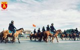 Cận cảnh dàn kỵ binh của lực lượng cảnh sát cơ động